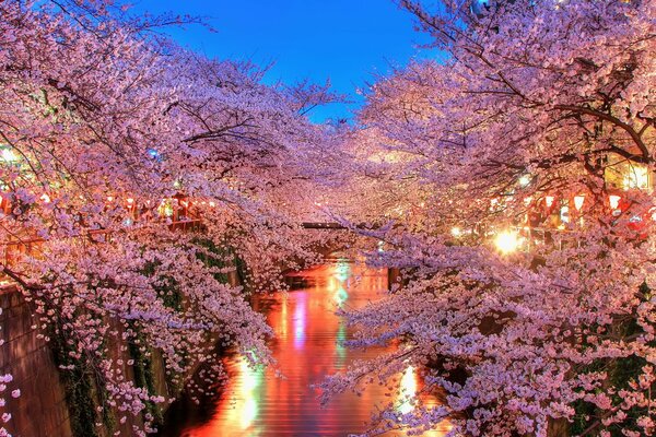 речка фонари свет деревья цветы весна