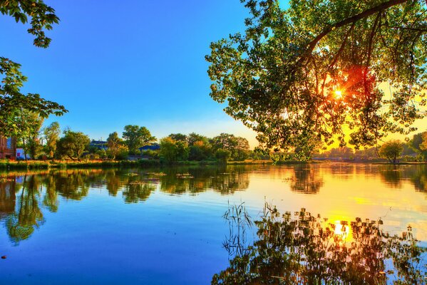 речка вода поверхность отражение лес деревья природа берег солнце свет лучи ветки весна тепло голубое небо
